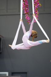 477599321_594128346868954_6087477867721562271_n 1_result